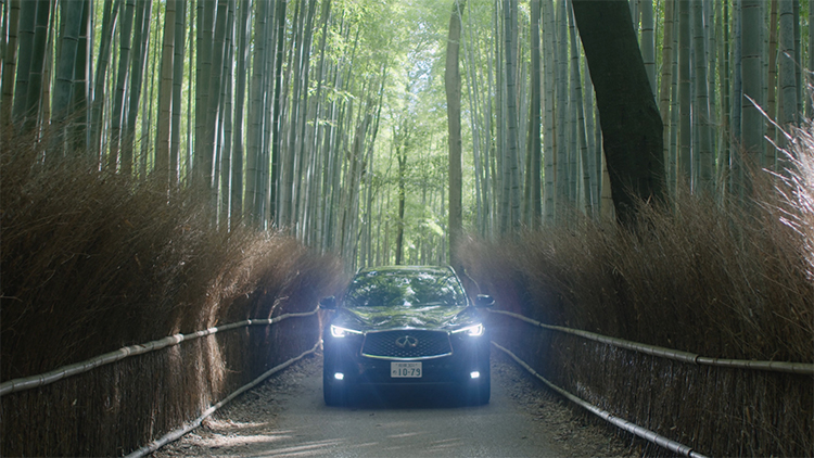 INFINITI QX50 in a scenic bamboo forest.